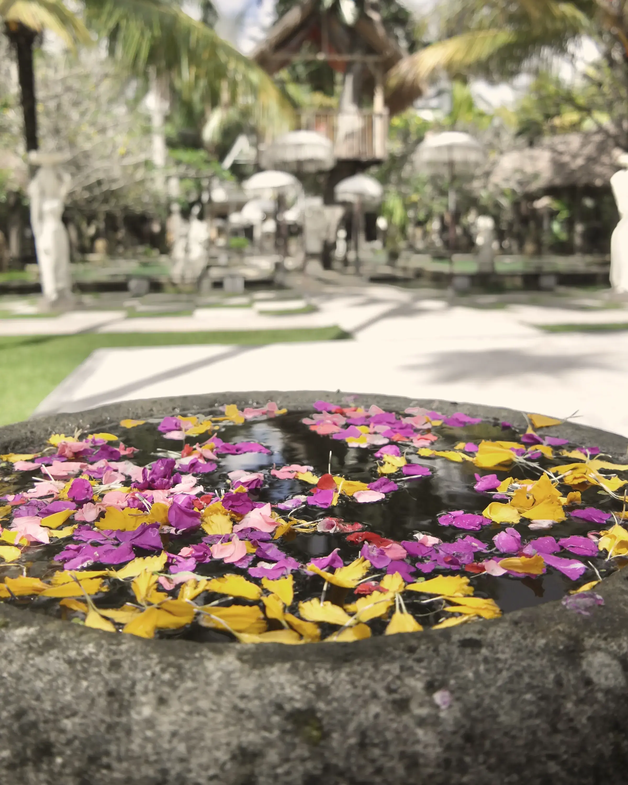 Stone basin of water strewn with flower petals in a resort garden in Ubud, Bali