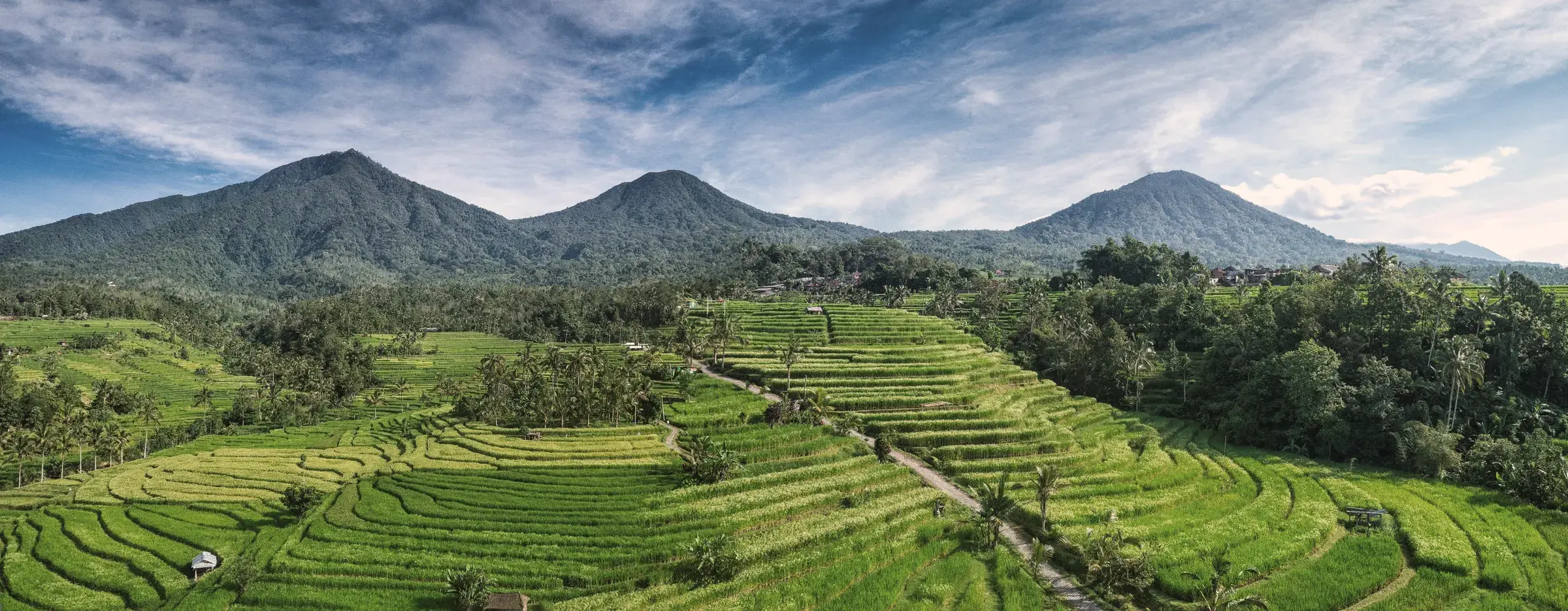 Terraced rice fields of Jatiluwih below forested volcanic peaks, Bali