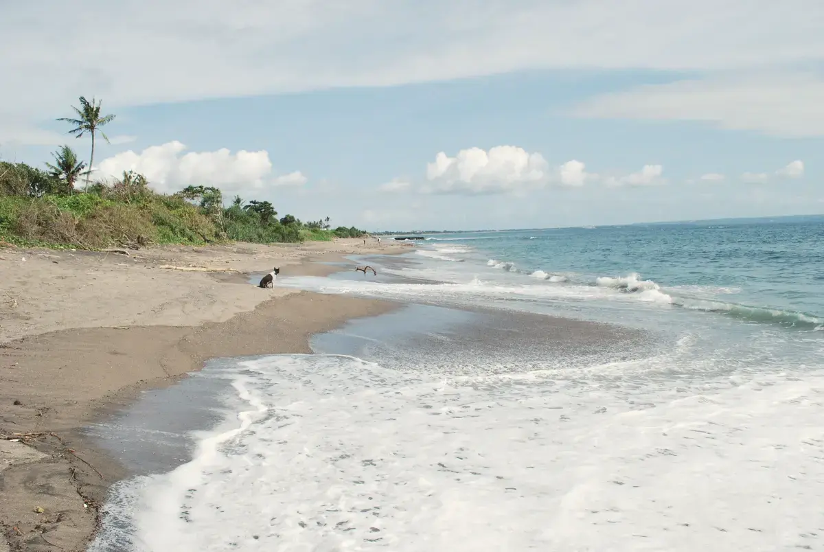 Quiet stretch of dark-sand beach and breaking waves at Canggu, Bali